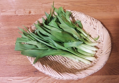 山菜2064.JPG
